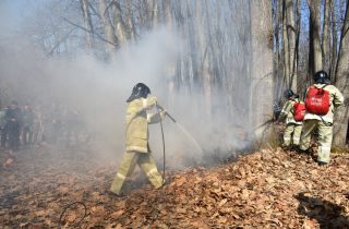 Подготовка руководителей и специалистов, ответственных за тушение лесных пожаров